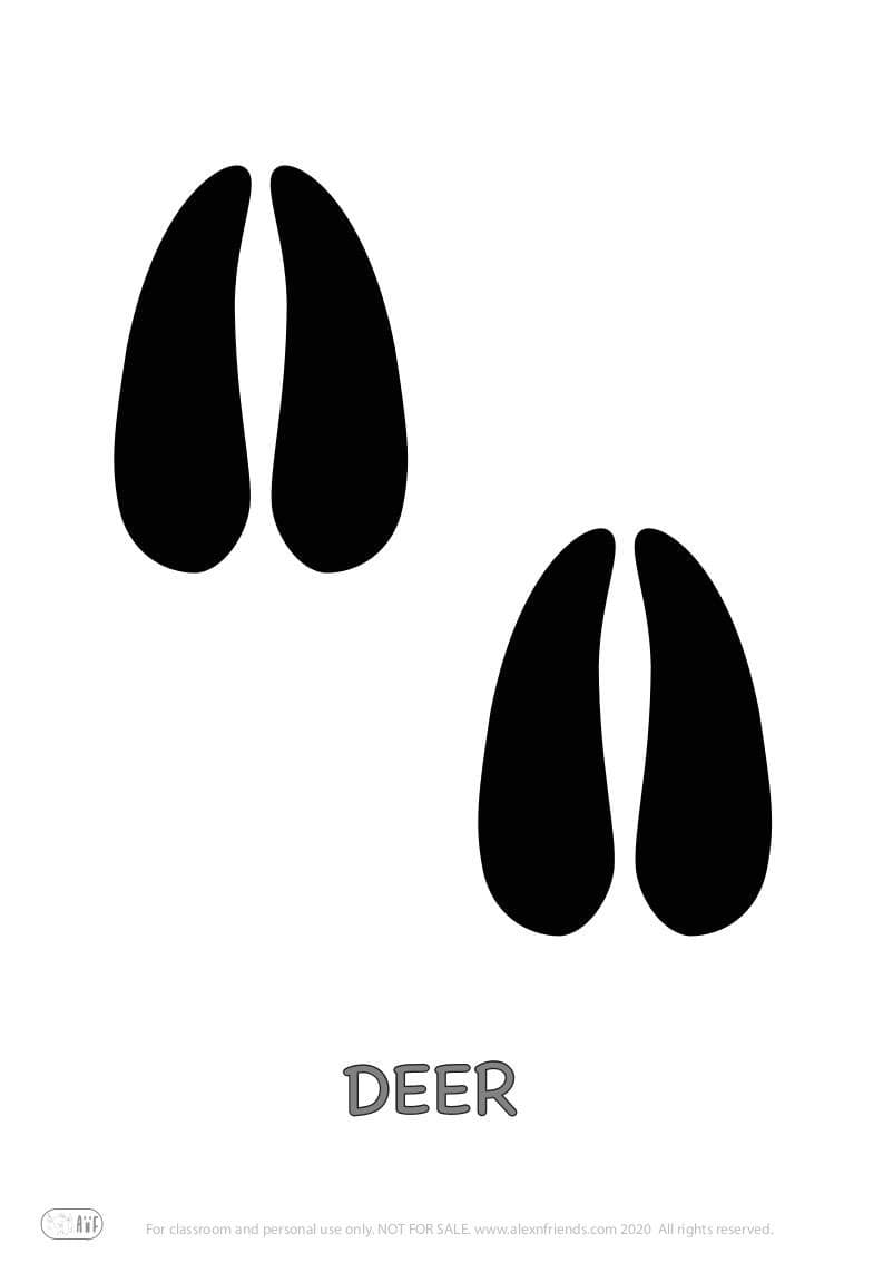 Educational activity for preschoolers with free printables. Playing with animal paw prints. Deer.