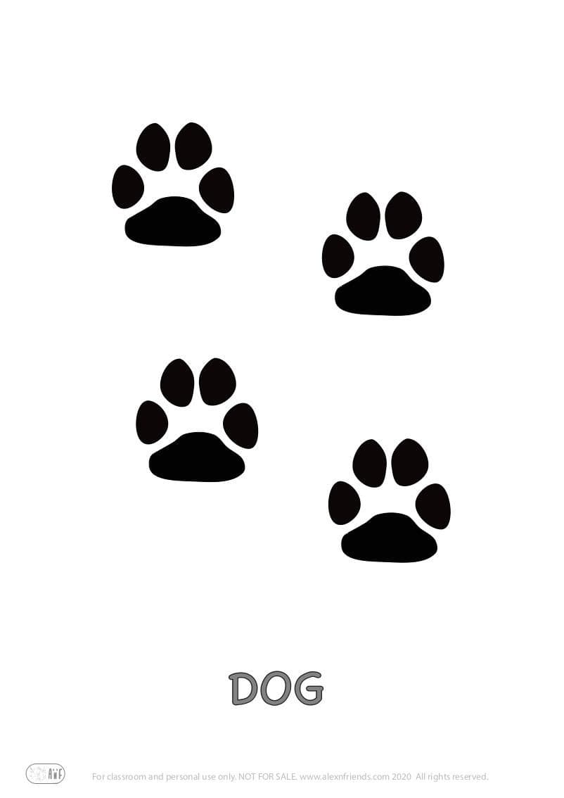 Educational activity for preschoolers with free printables. Playing with animal paw prints. Dog.