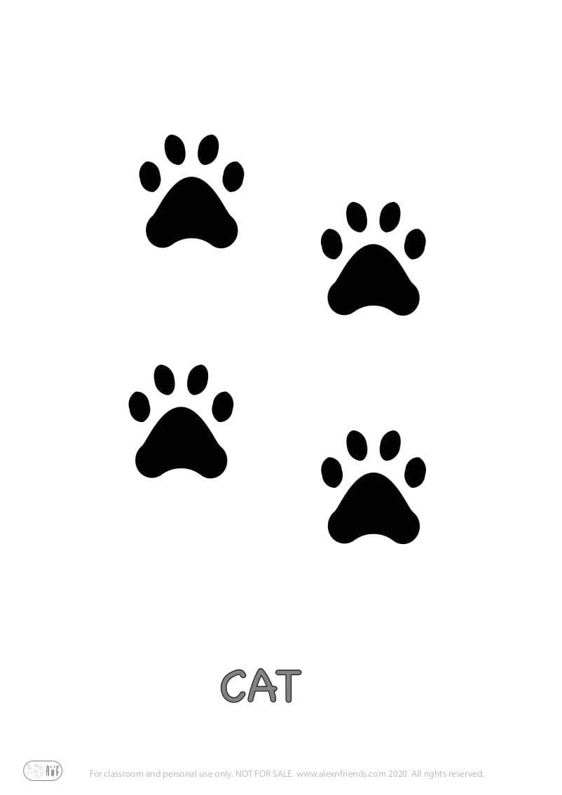 Educational activity for preschoolers with free printables. Playing with animal paw prints. Cat.